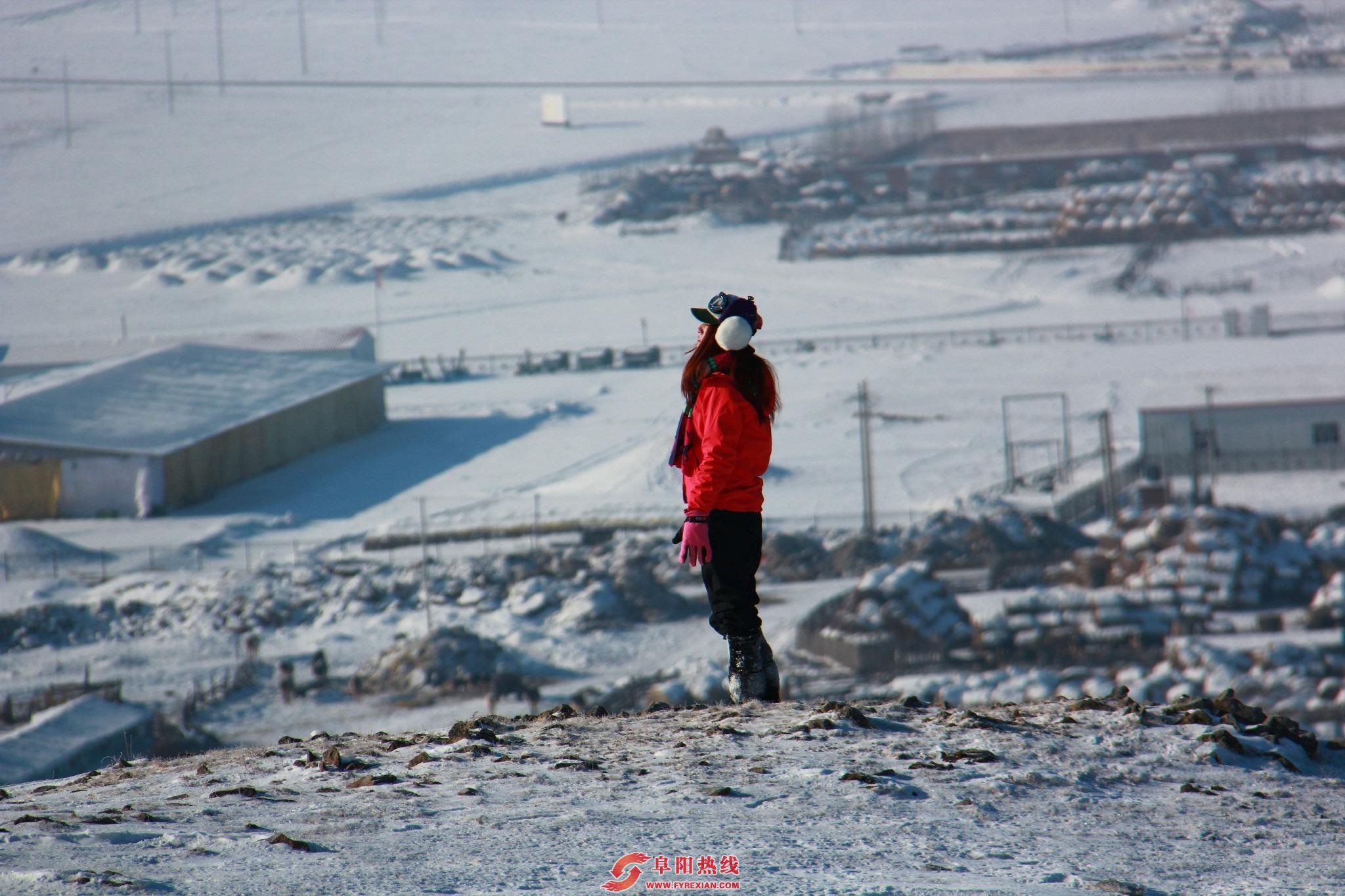 零下7.9℃！今早，阜阳人经历了什么...