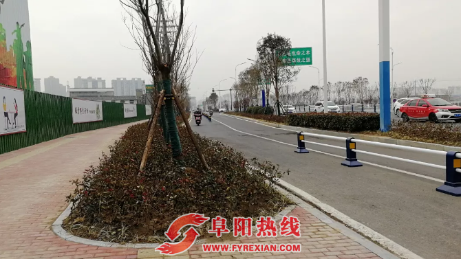 最新消息！阜南路（西湖大道-淮河路）改造工程通过竣工验收！