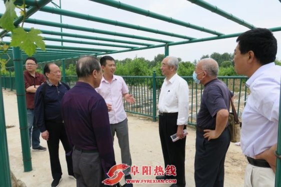 阜阳市关工委常务副主任王春魁到颍泉调研