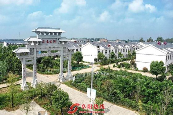 龙王村：因地制宜奔小康