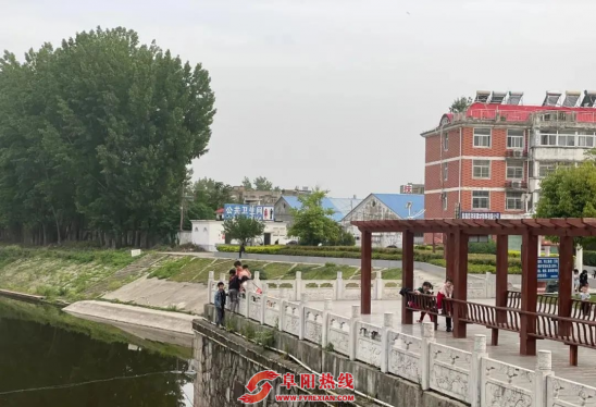 太危险了！阜阳一公园附近拍下！