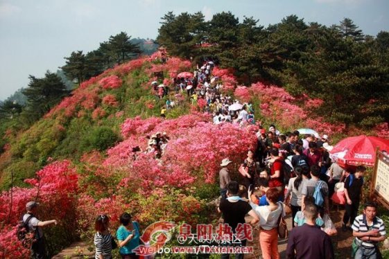 踏青赏花就去天峡