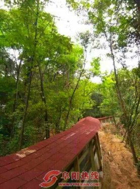 “安徽大别山第一条滑道”天峡滑道于端午节投入使用