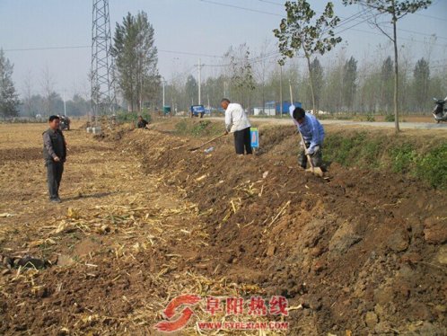 界首市新马集：玉米秸秆高温堆肥净化农村环境