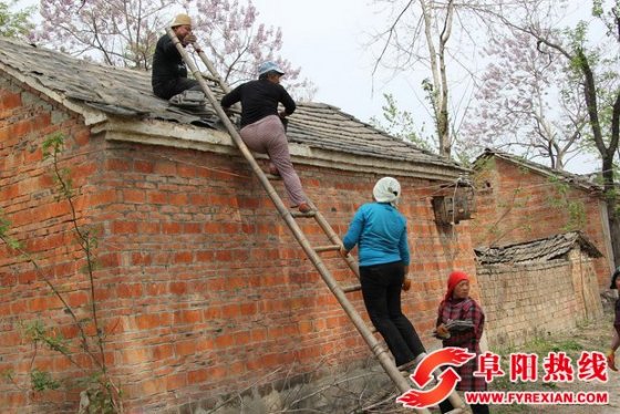 王集镇土地复垦工作进展顺利