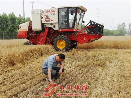 界首西城抢收抢种禁烧三不误