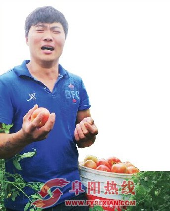 “种菜哥”李刘标