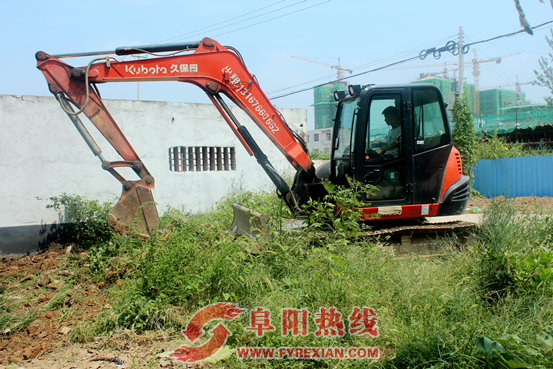 界首市东顺河社区开展环境整洁行动  助力创建文明城市