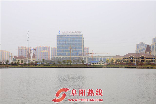 _M1B0486.JPG