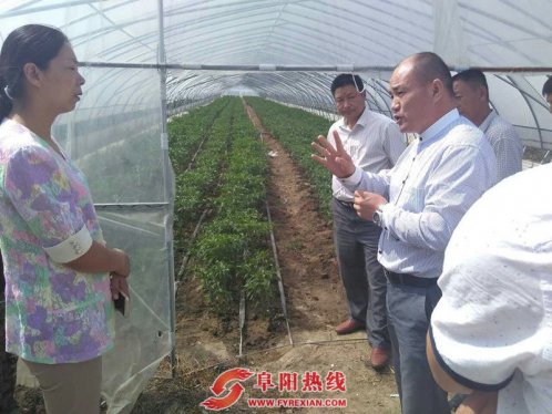 界首市顾集镇组织镇村干部赴阜南参观考察