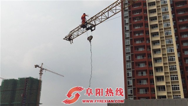 男子爬塔吊欲讨薪 不料中暑被困高空