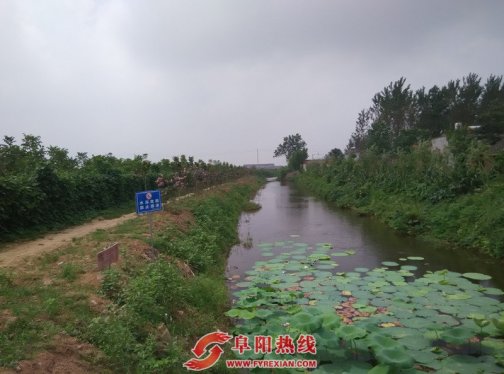 界首市顾集镇：环境整治得民心