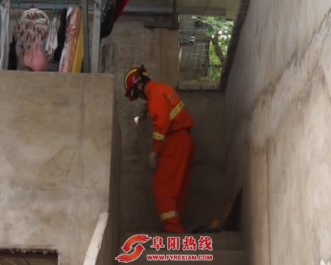阜阳：大蛇盘踞楼道 居民害怕忙报警求助