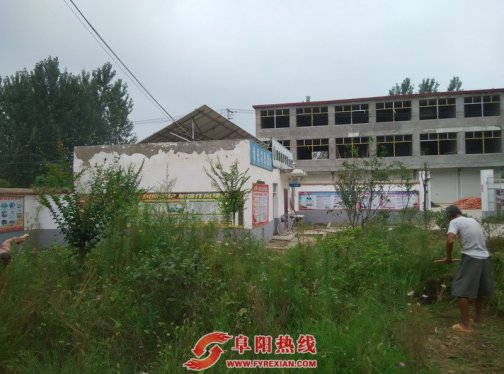 顾集镇：“林业养护好”，环境更美好