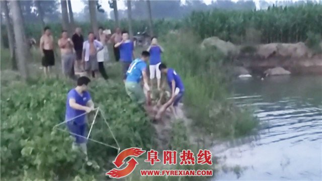 太和一男子野塘游泳不幸溺亡