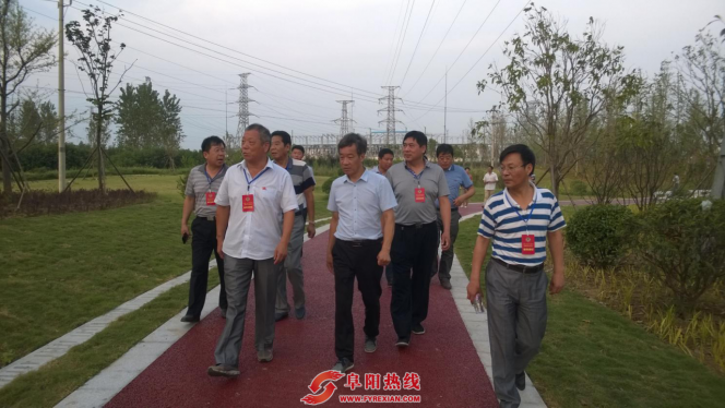 界首市政协“建言献策”城区森林公园景观项目建设