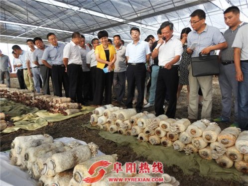 颍州区召开产业扶贫推进会