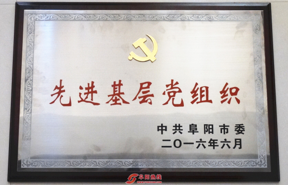 太和县市场监督管理局机关党委被授予“先进基层党组织”称号
