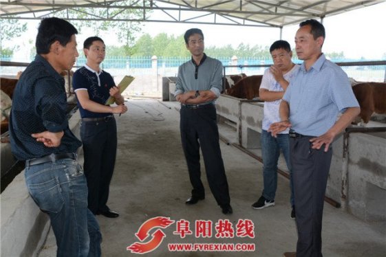 太和县坟台民族村：产业扶贫带来希望之光