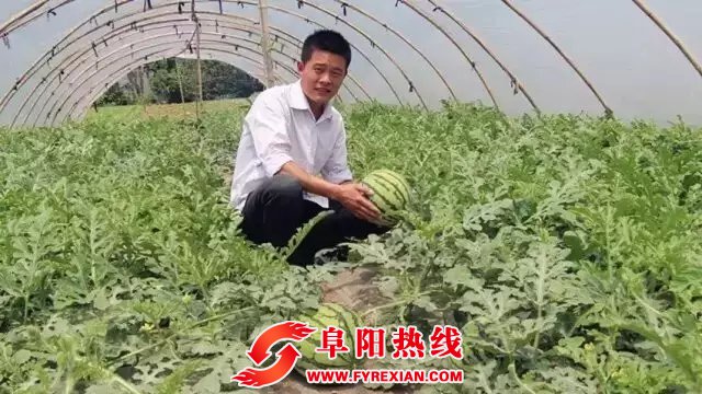 安徽阜阳：硕士大学生村官姚银邦扎根农村绽放青春