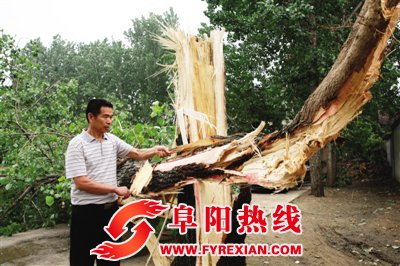 淮北、阜阳遭雷雨大风强对流天气 局部瞬时极大风速达11级