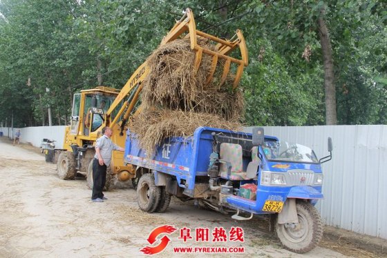 界首西城：清理秸秆整治农村环境