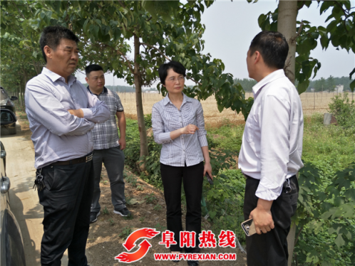 张临到界首市新马集镇督导秸秆禁烧工作