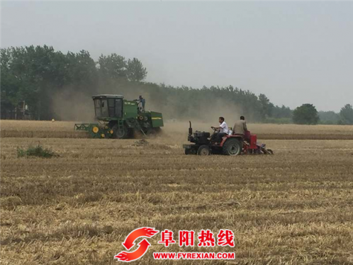 芦村镇收种一条龙助力秸秆禁烧“零火点”