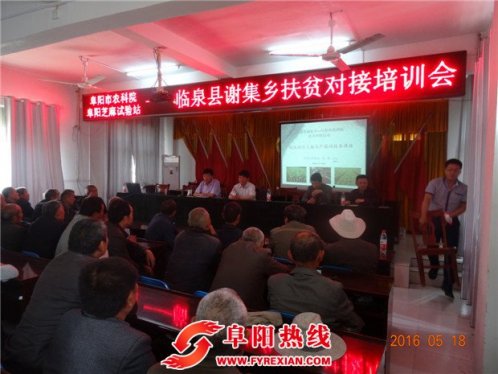 阜阳市农科院专家在临泉谢集乡举办扶贫对接培训会