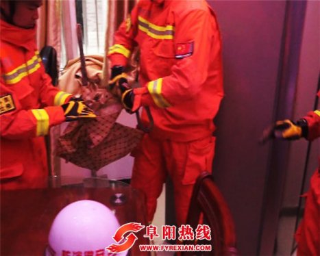 阜阳：居民家中蛇出没 消防员徒手抓捕