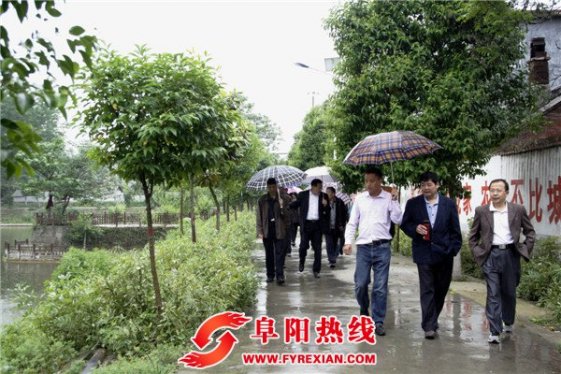 界首市：作家感受美丽乡村