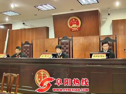 阜阳市中院公开审判一起建国以来我省最大贩毒案