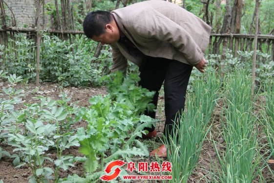 界首市光武镇掀起全民春季铲毒工作风暴