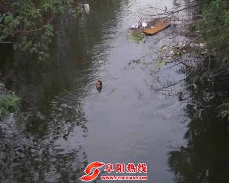 阜阳一男子跳河轻生随波逐流几公里 险象环生
