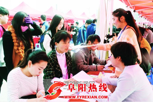 颍东区第五届人才招聘提供千人岗位