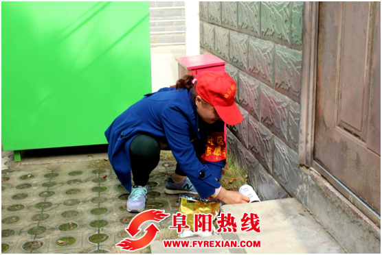 界首市东顺河社区开展春季灭鼠行动