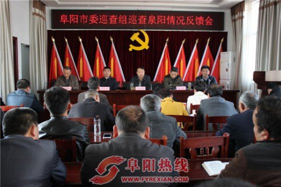 阜阳市委巡查组反馈巡查泉阳镇情况