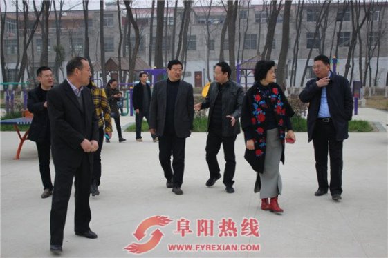 合肥市考察组到泉阳镇考察“三线三边”暨农村环境综合治理工作开