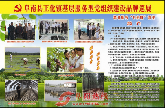 阜南县加强基层服务型党组织建设纪实