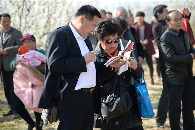 故乡亲梨花情  界首市举办第十九届梨花诗会