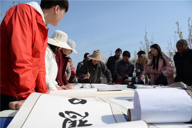 故乡亲梨花情  界首市举办第十九届梨花诗会