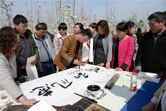 故乡亲梨花情  界首市举办第十九届梨花诗会