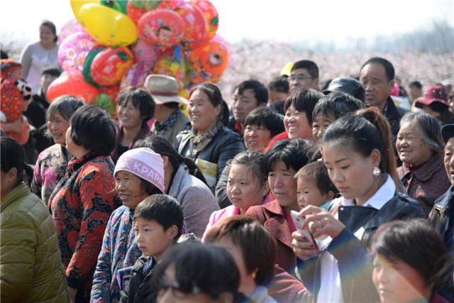 故乡亲梨花情  界首市举办第十九届梨花诗会