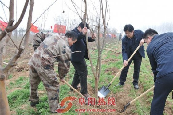 颍泉区组织社会各界参加义务植树活动