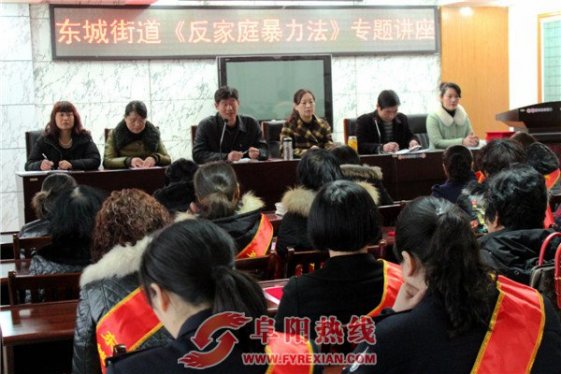界首市东城街道举办《反家庭暴力法》专题讲座