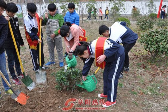 芦村镇：留守儿童种下“环保”树