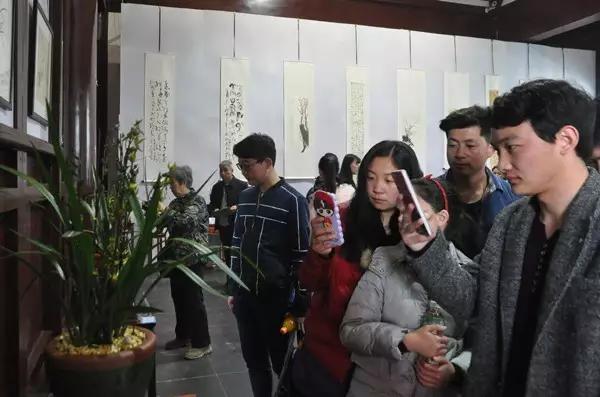 阜阳生态园首届兰韵·丹青兰花艺术展开幕