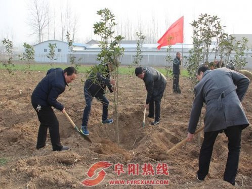 西城街道开展义务植树活动