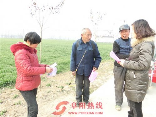 界首市舒庄镇适时指导农民加强春季田管