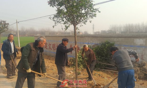 界首东城：志愿者义务植树 群众拍手称赞